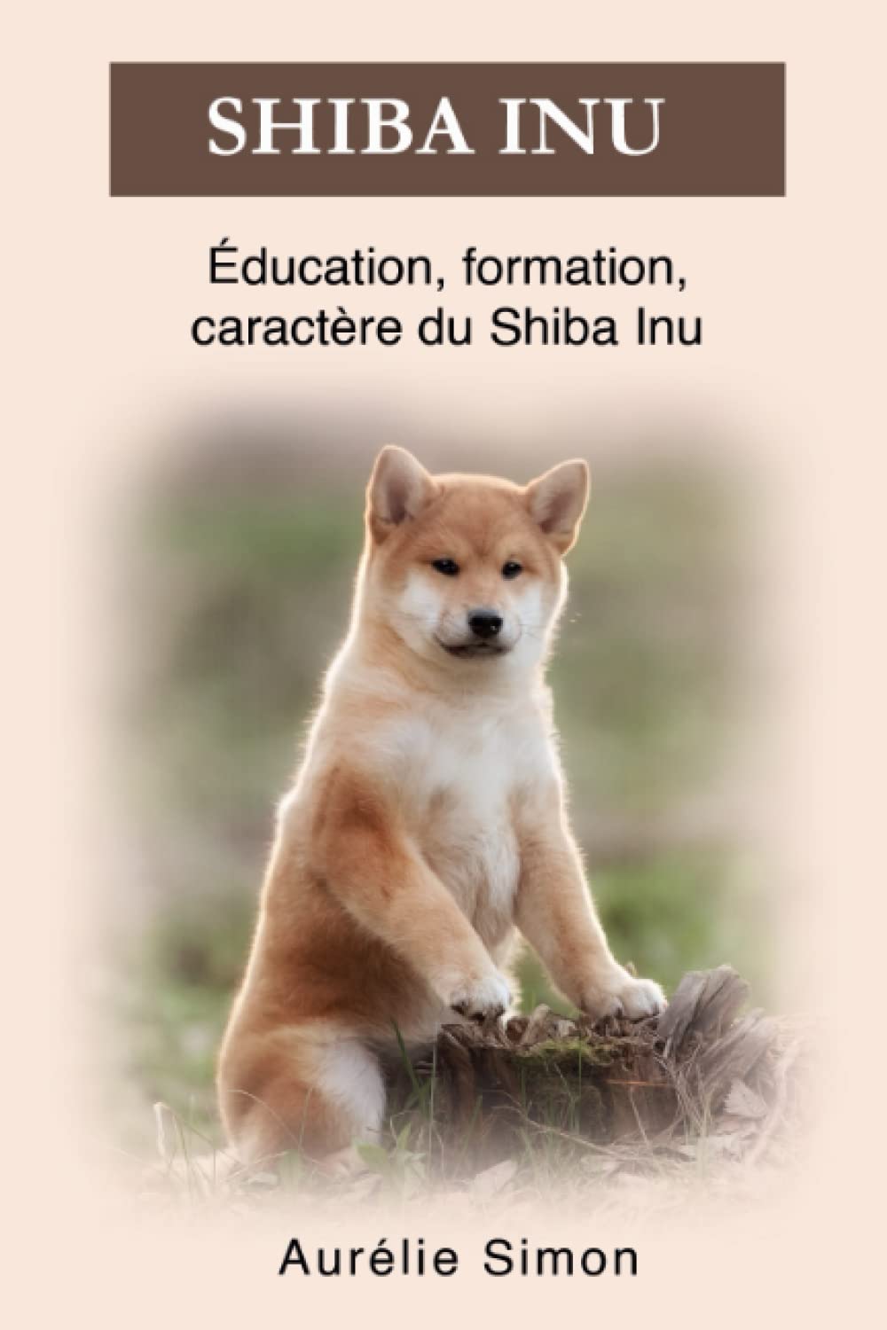 Shiba Inu: Éducation, formation, caractère du Shiba Inu