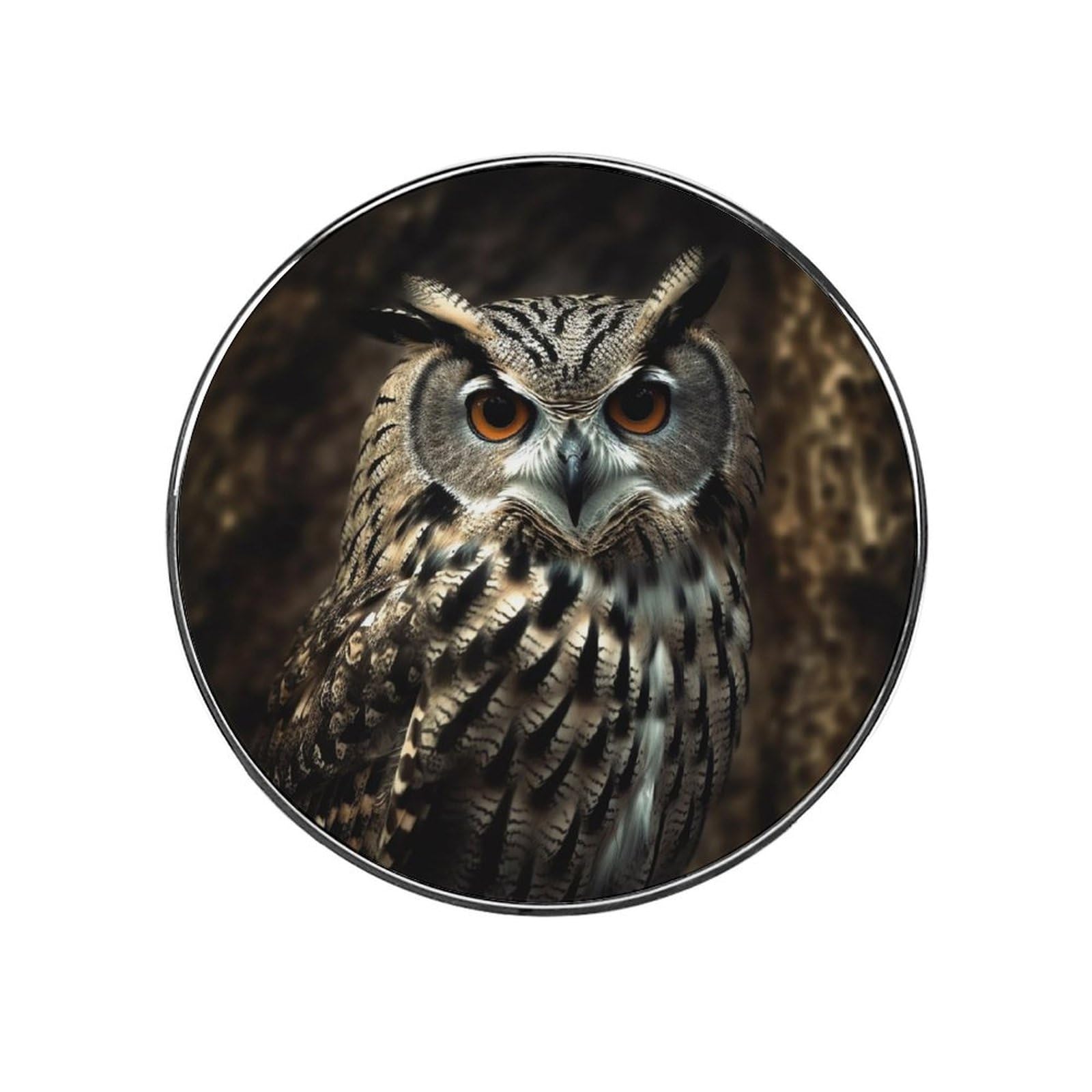Fridge Magnets Waterproof Small Strong Magnets for Fridge An Owl Refrigerator Magnets Kitchen Accessories Cute Decorative Magnets for Whiteboard Locker Office Home Decor