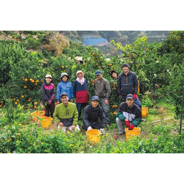 定番最安値】 m様 ピーチオレンジガーデンクォーツ ラブラドライト