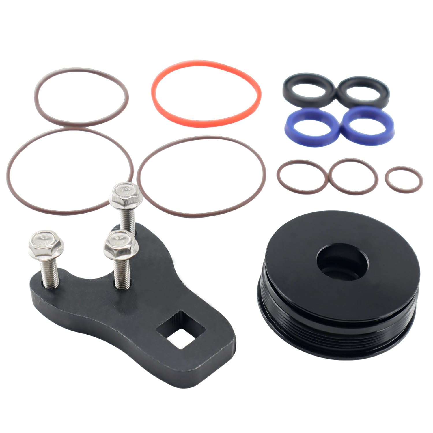 Trim Piston Repair Seal Kit w/Wrench Compatible with Evinrude Johnson E-Tec 60HO 75 90 115hp and 130hp Models, Replace 5008985 352932 5008773
