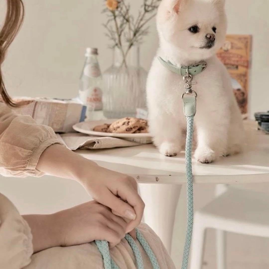 早い者勝ちレア 超極美品 ファンタスティックマン 119 バングル メンズ