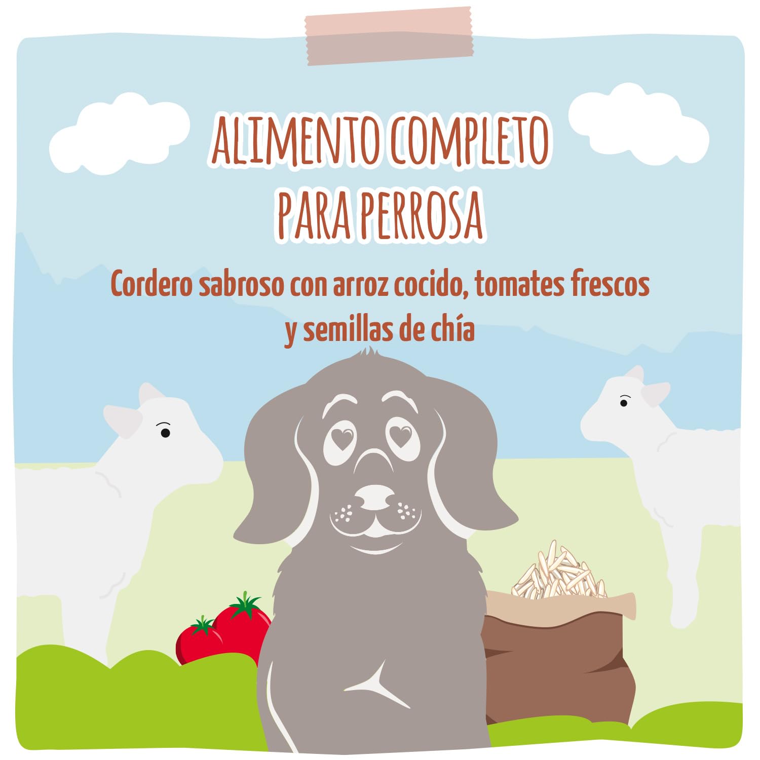 MjAMjAM - Comida húmeda Premium para Perros - Cordero Salado de arroz cocido con Tomates Frescos, 1 Paquete (1 x 400 g), Natural con Mucha Carne