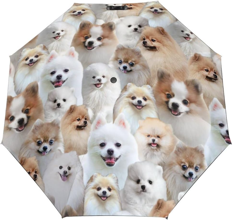 Gift for Pomeranian Dog Lover, Cute Pomeranian Dog Print Umbrella, Compact Folding Rain Umbrella Sun UV Protection Umbrella for Pomeranian Owner Pet Puppies Dog Mom