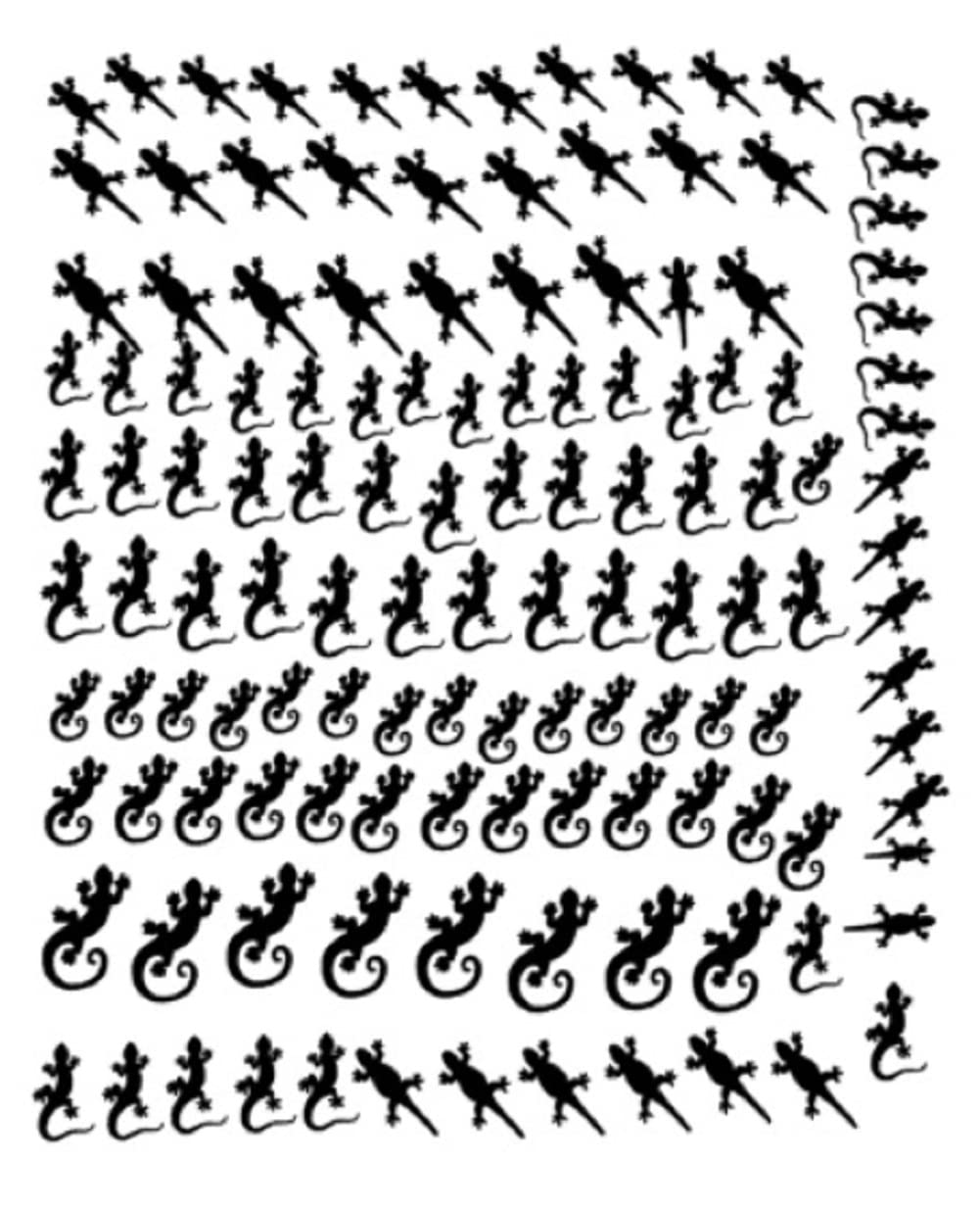 Lizard Collection (Lizard Press On Nail Stickers ~ Black)