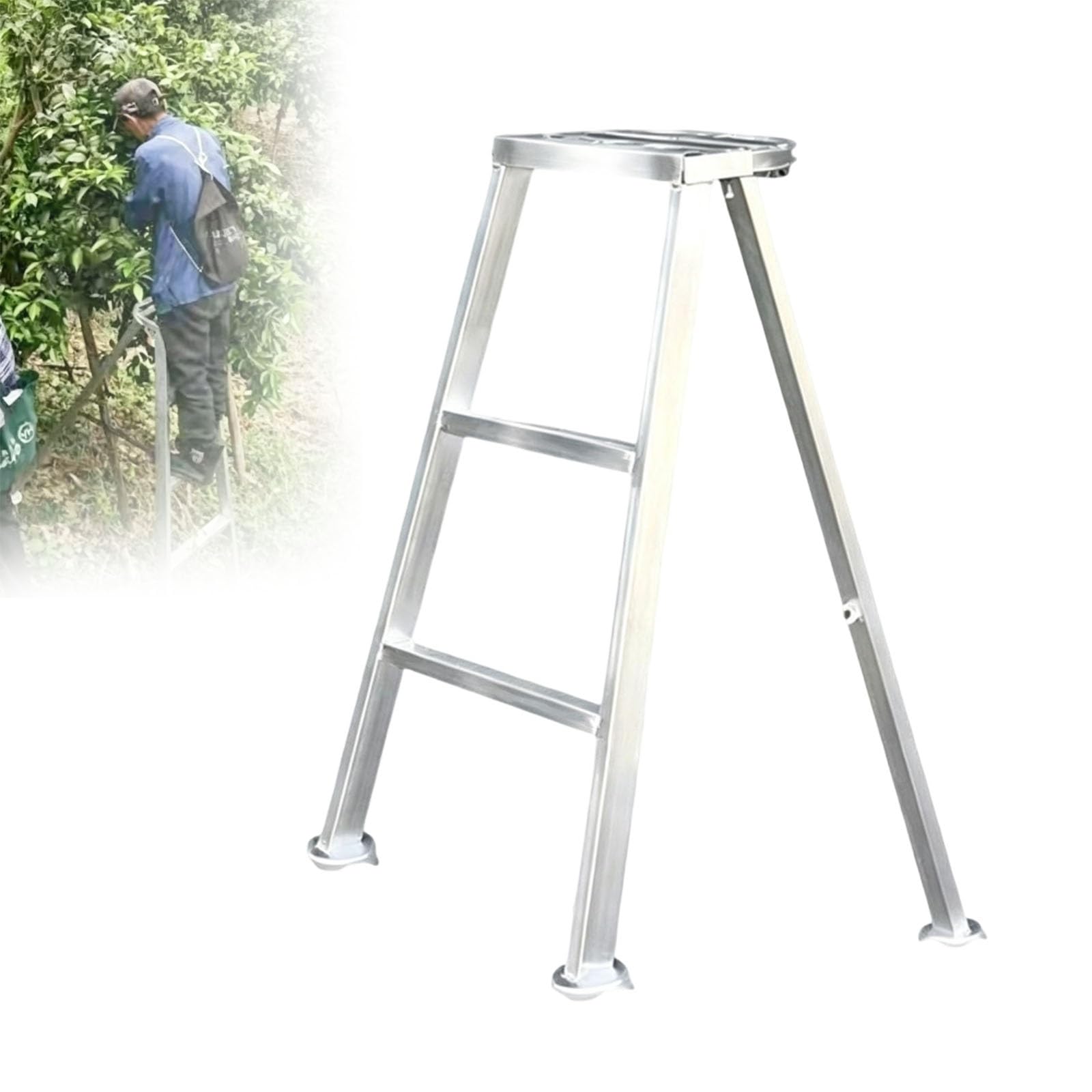Échelle d'élagage pour terrasse, échelle Pliante Robuste