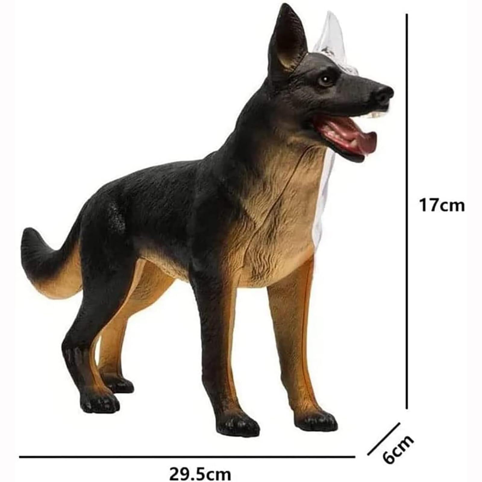 Demostración didáctica de animales Parte 29 Modelo didáctico de anatomía Modelo de anatomía 4D de perro con modelo biológico desmontable