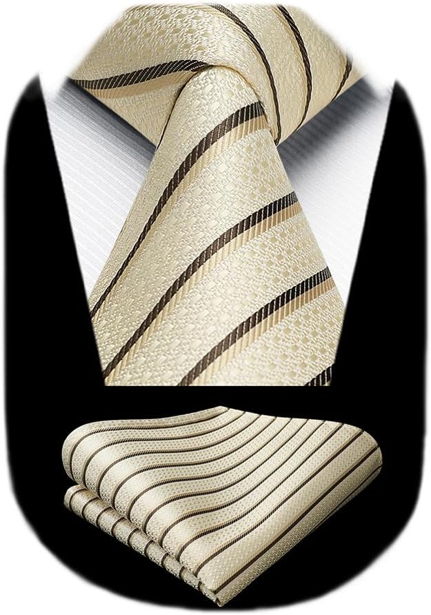 HISDERN Mens Striped Ties Classic Silk Woven Tie and Pocket Square Set Formal Business Necktie Handkerchief for Wedding