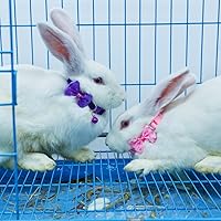 Vista 3 de 3 collares ajustables de conejo con campana, lindo collar de conejillo de indias, lindo collar para ejercicio de animales pequeños y accesorios