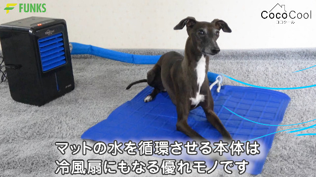 Amazon | FUNKS COCOCOOL ココクール ペット 冷却マット 電気