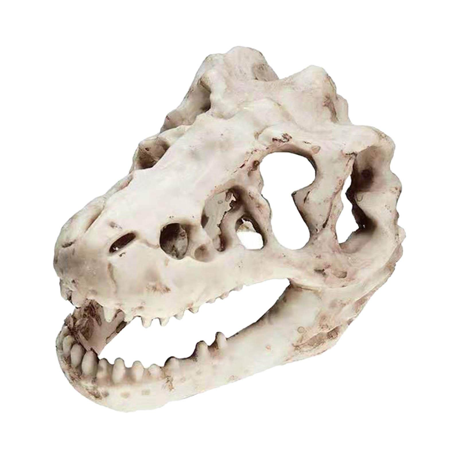ATORSE® Aquarium Dinosaur Skull Head Decoration Fish Tank Dinosaur Skull Model|Antique Home Décor |Traditional Showpiece |Figurine |Modern Decorative |Decoration|Figurines for Home Decor |Home Decor