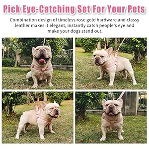 Soft leather no pull dog harness  adjustable step in dog harness with rose gold heavy duty metal buckle freedom nylon dog halter vests for small medium large dogs easy walking training pinkl   cucciolini doodles