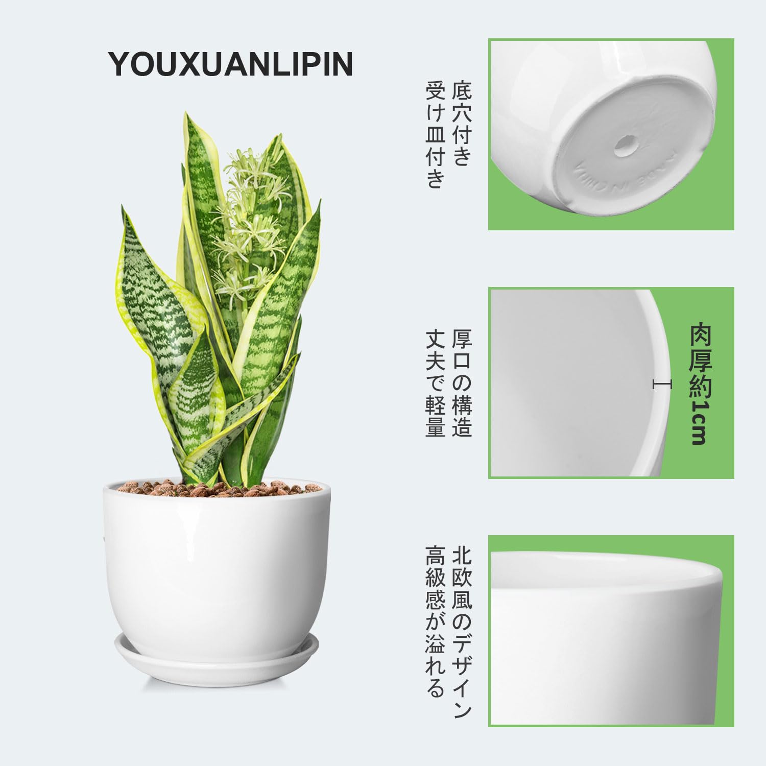 Amazon.co.jp: YOUXUANLIPIN(ユーシュアンリピン) 植木鉢 6号 観葉植物