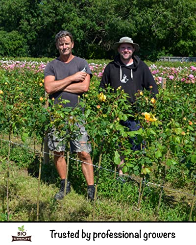 Biostretch Extra Wide Tree Ties And Large Plant String | Environmentally Smart Soft Green Plant Support And Garden Twine (Bio Extra Wide 26 Ft / 8M) #TOP3