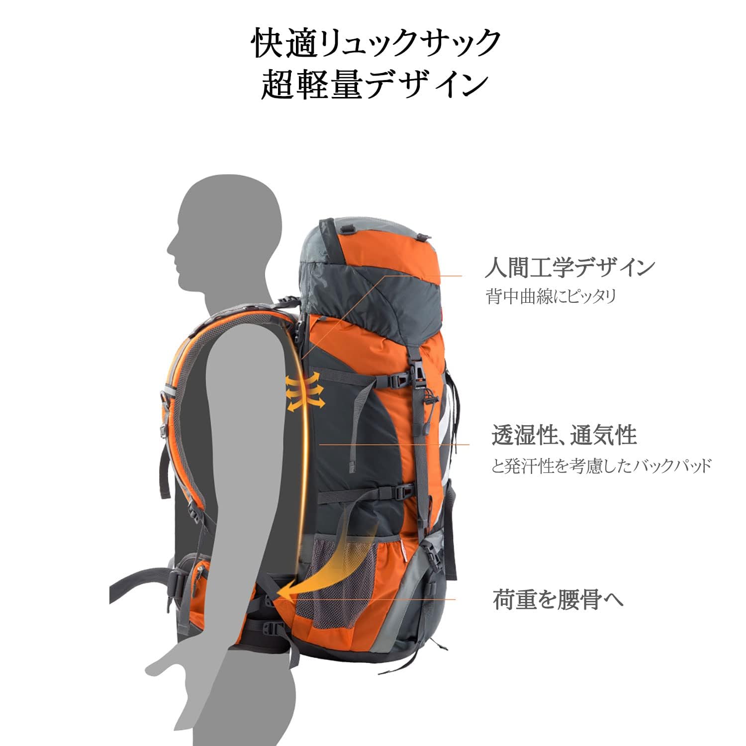 背面長58cm以上、登山用大型バックパック Amazon.co.jp: [Naturehike] 直営店 大容量バックパック 70L+5L ザック
