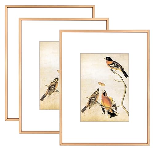 BKABOT 8.5x11 Picture Frame Set of 3, Gold Metal Photo Frames with HD Glass, Fits 5x7 with Mat or 8.5x11 without Mat, Wall Hanging and Table Display