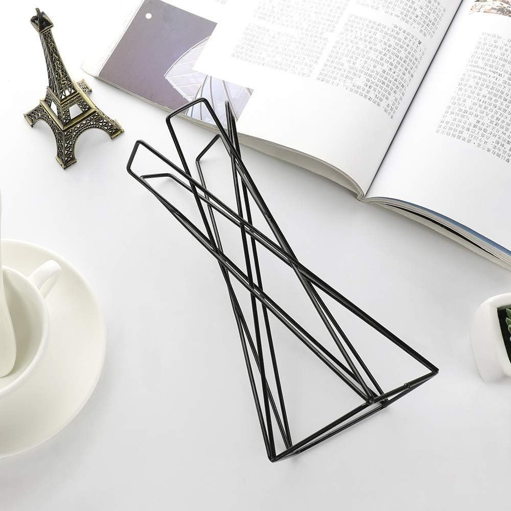 Flower Racks Rustic Tabletop Mount Hanging Irregular Geometric Iron Tillandsia Art Plants Holder Rack Black Containers Home Tool