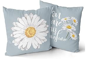 Daisy Pillow Covers 20x20 Inch Set of 2
