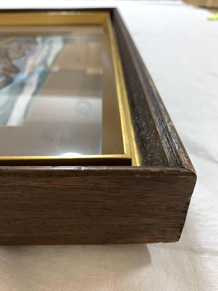 Amazon.co.jp: ① 谷野圭一 山林遠山 日本画 色紙画 額寸：50