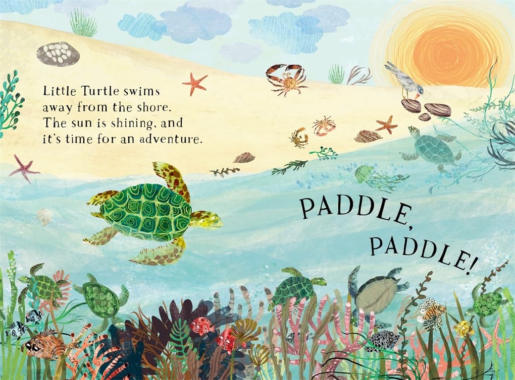 Little Snail's Book of Bugs /anglais