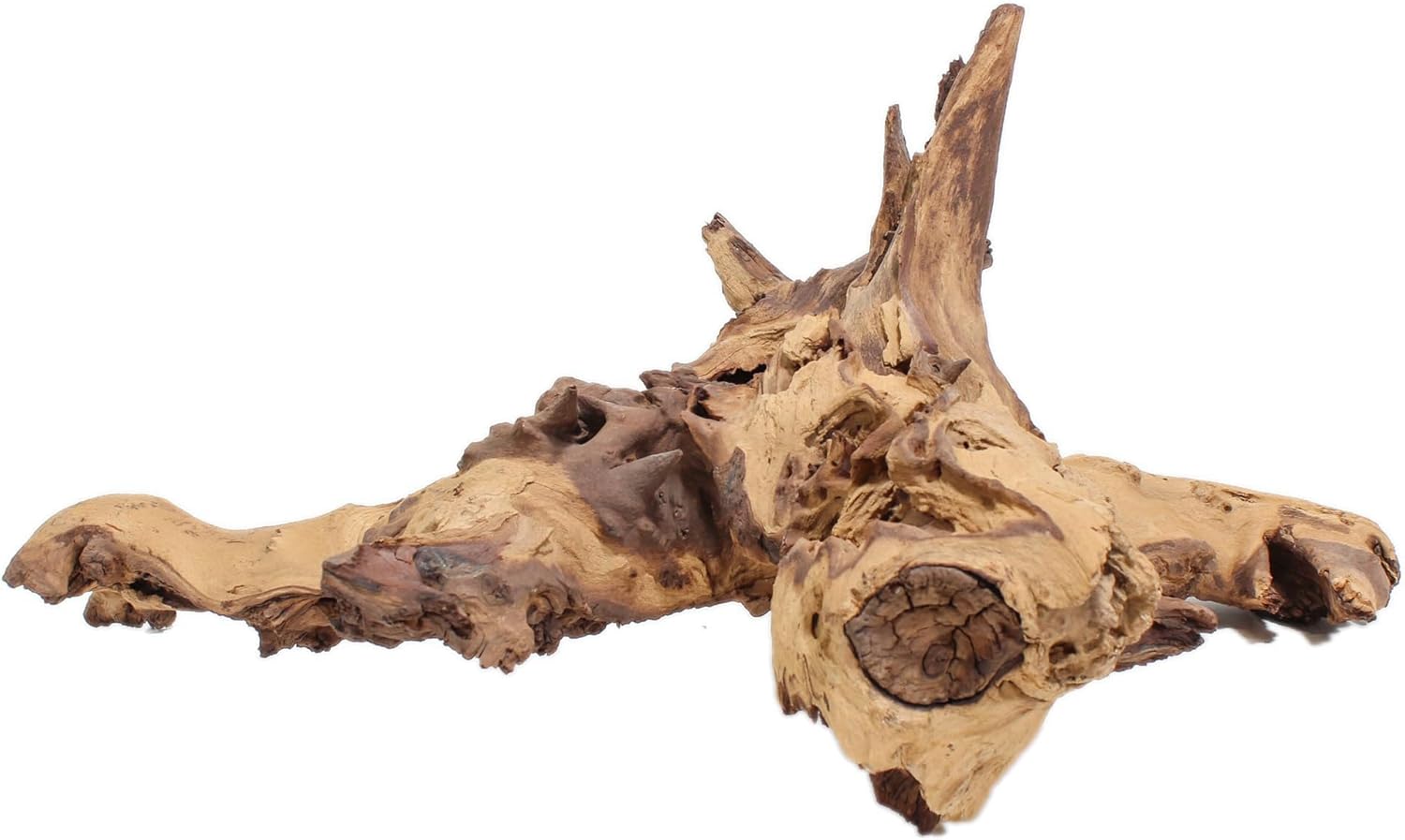 Driftwood: Extra Large 10.2 Pounds G3735