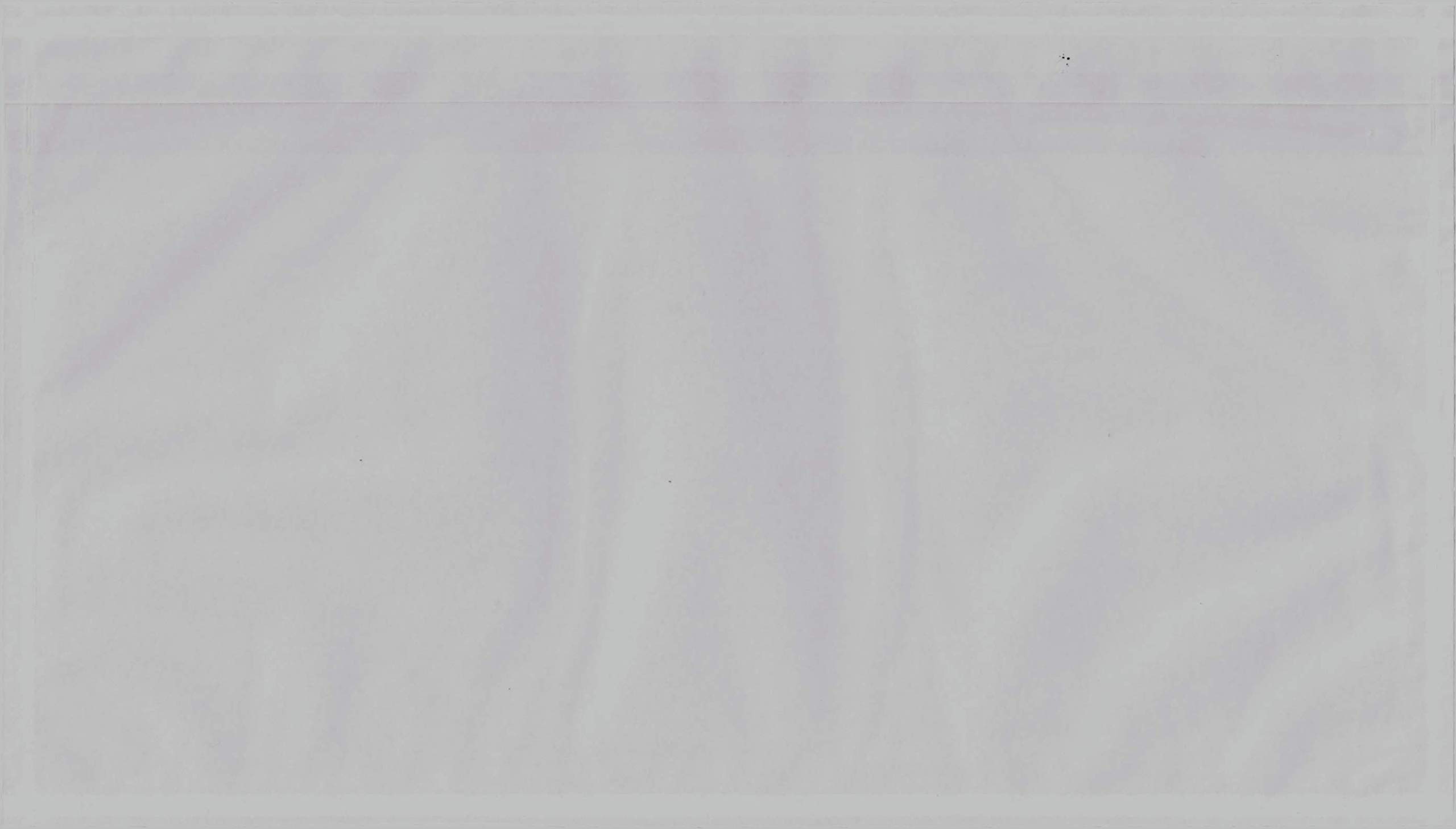 Lieferscheintaschen DIN lang Selbstklebend Lieferschein-Rechnung (Rot)/Transparent (Neutral) Dokumententaschen Begleitpapiertaschen 5-1000 Stück (Lieferschein-Rechnung (Rot), 5