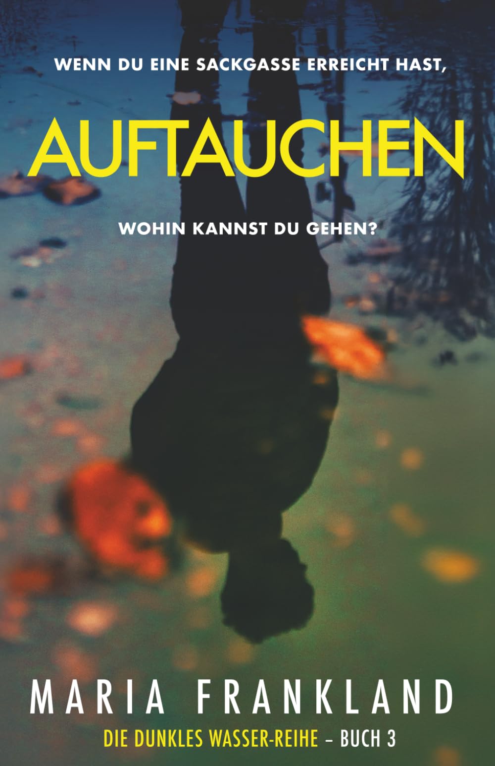 Auftauchen: Wenn du eine Sackgasse erreicht hast, wohin kannst du gehen? (Die Dunkles Wasser-Reihe)