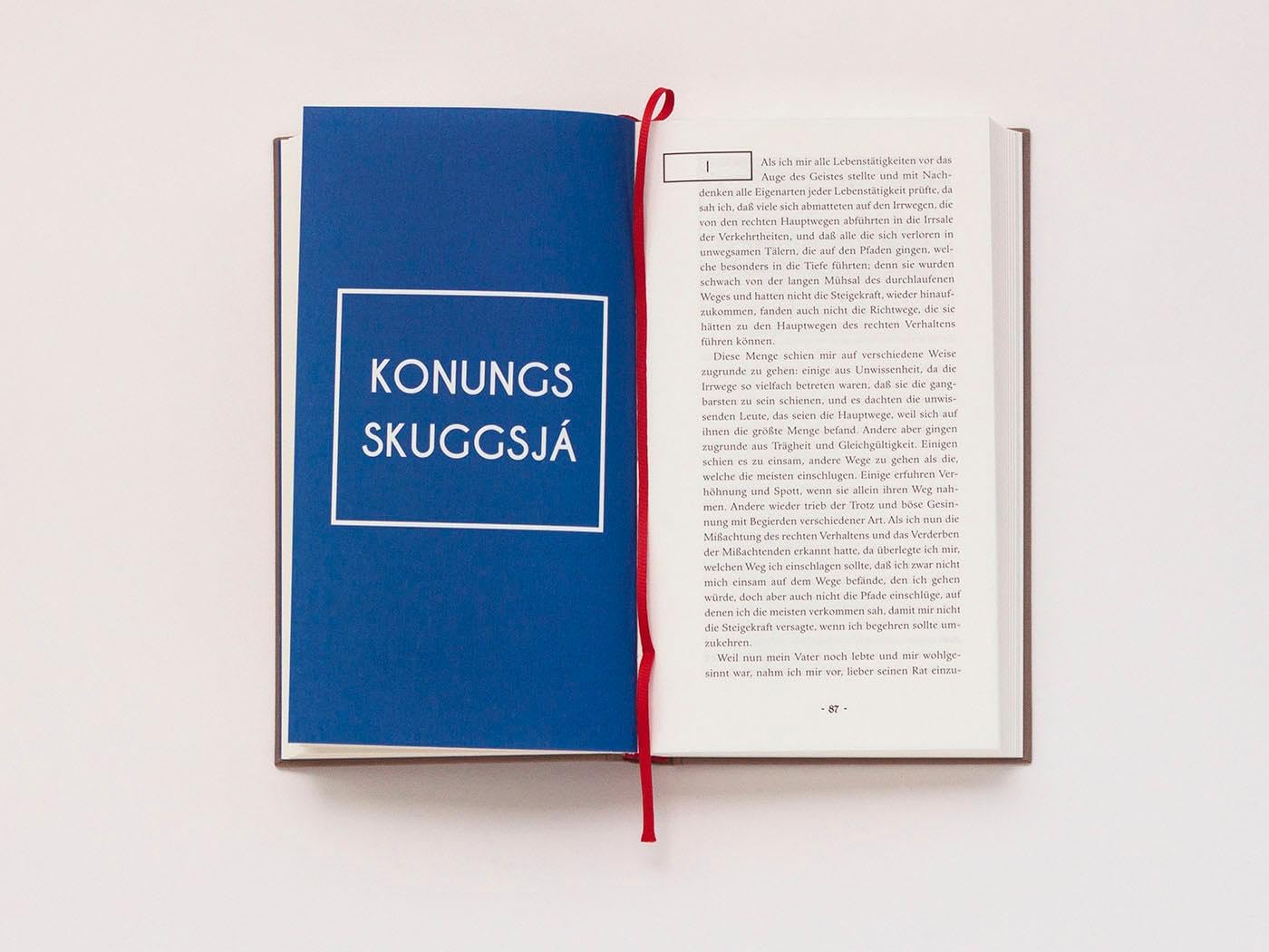 Der Königsspiegel: Fahrten und Leben der alten Norweger, aufgezeichnet im 13. Jahrhundert (Die Andere Bibliothek, Band 417)