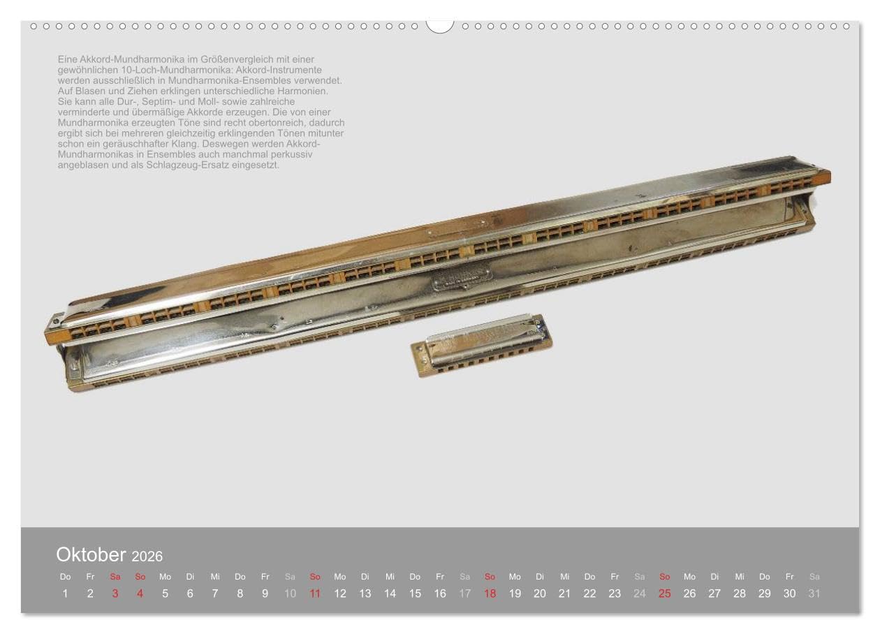 Mundharmonikas im Blickpunkt (Wandkalender 2026 DIN A2 quer), CALVENDO Monatskalender: Verschiedene Mundharmonikaarten in Bild und Text (CALVENDO Hobbys)