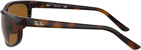 61yoMdCL9rL._AC_SX466_.jpg