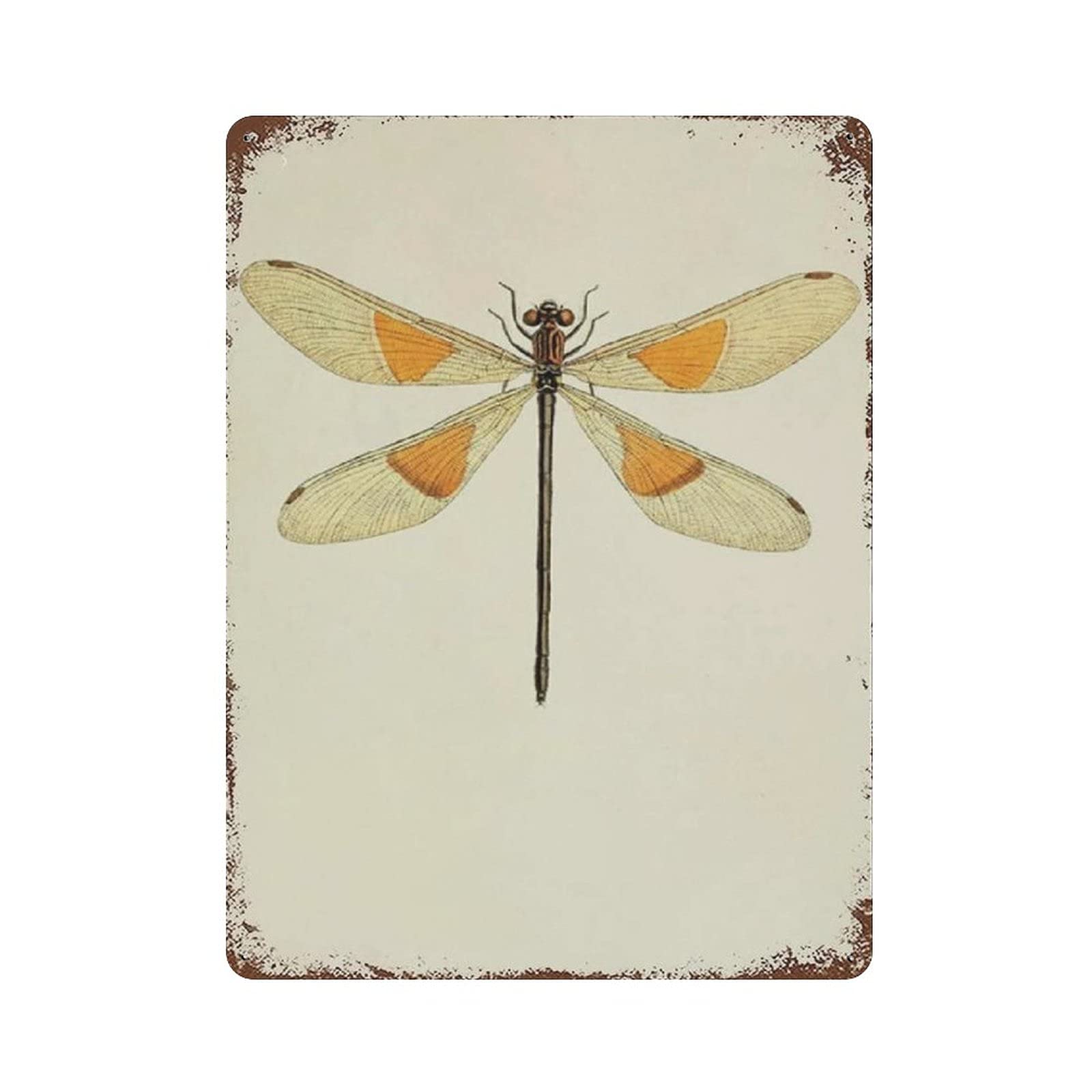 Metal Tin Sign Dragonfly Vintage Tin Poster Metal Sign Wall Decoration Country Kitchen Home Garage Decor 16"x12"