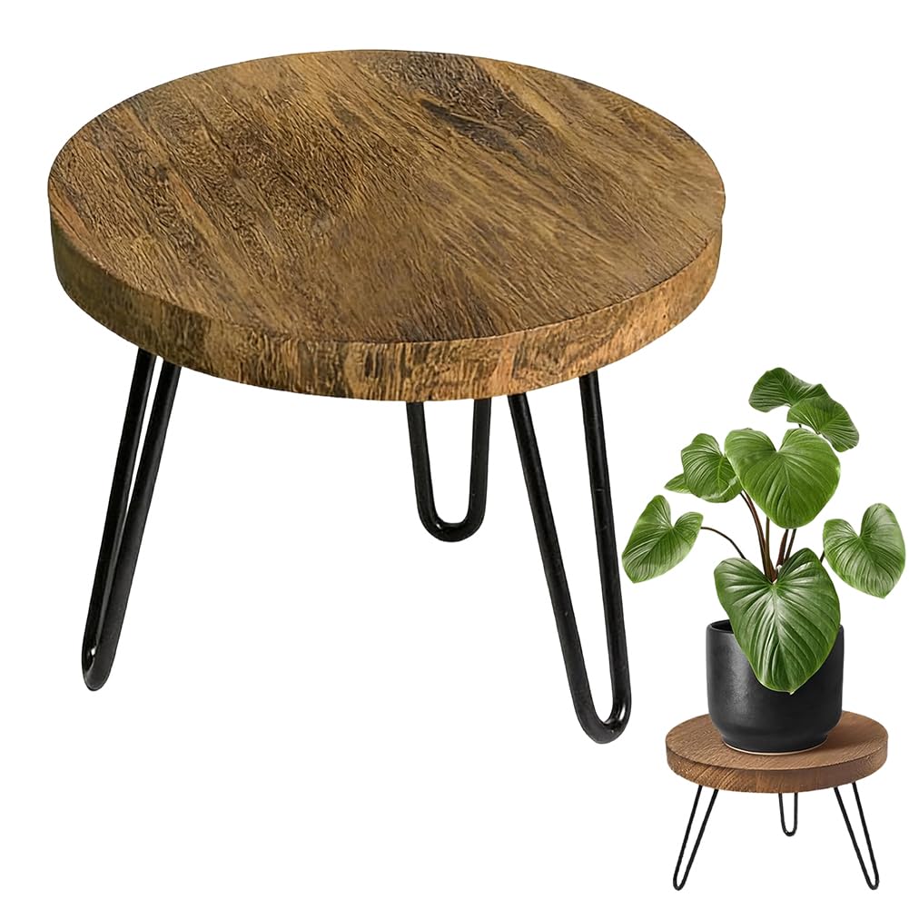 Wooden Plant Stand, Flower Stand, Round, High Load Flower Stool, 25 cm, for Various Pot Sizes, Plant Shelf, Plant Stool, for Indoor Outdoor Decoration, Living Room, Balcony and Garden