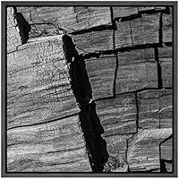 SIGNWIN Framed Canvas Wall Art Old Aged Drift Wood Grain Tree Bark Nature Texture Photography Minimalism Modern Closeup Dramatic Black and White for Living Room, Bedroom, Office - 16