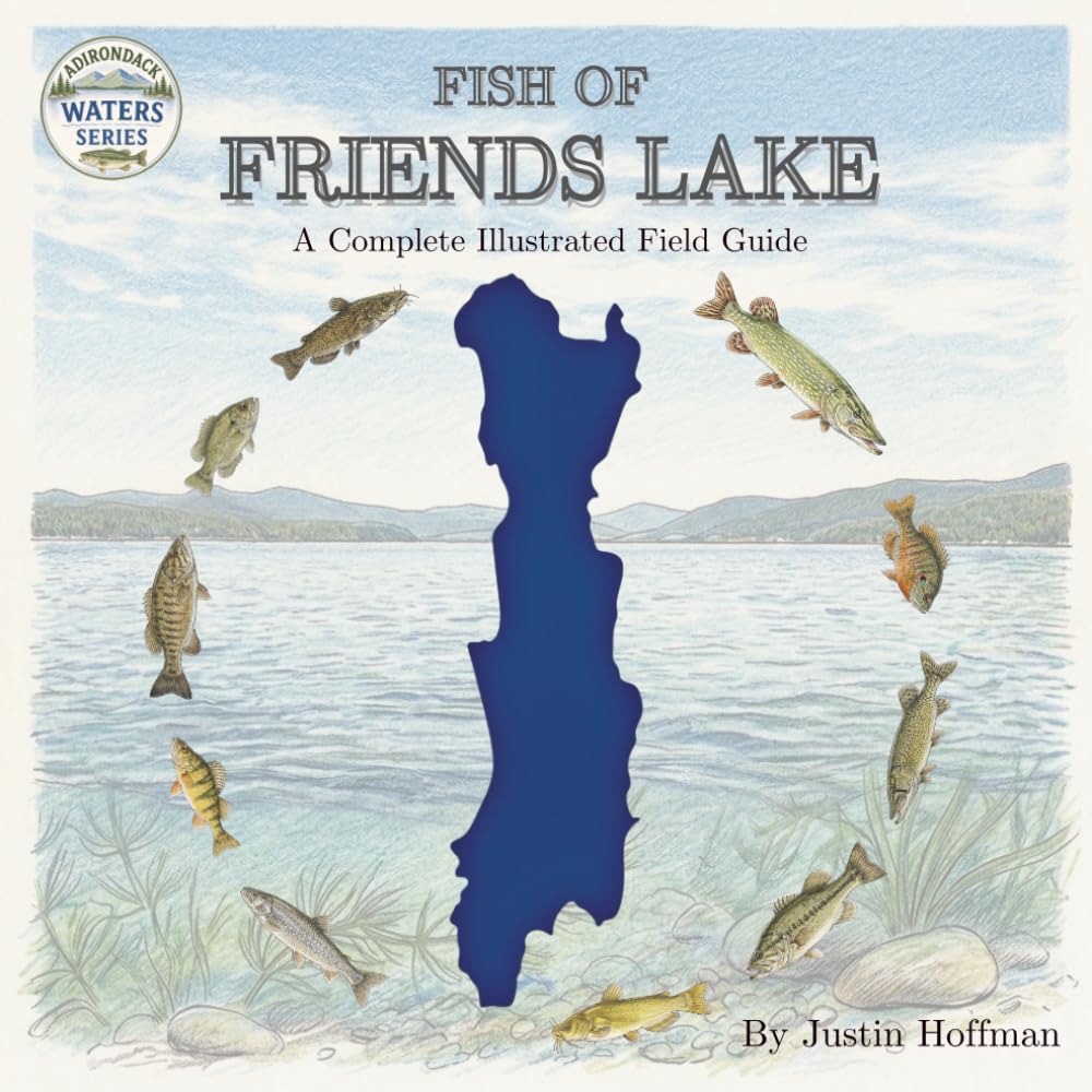 Fish of Friends Lake: A Complete Illustrated Field Guide (Adirondack Waters Series: Visual Field Guides for Junior Anglers)