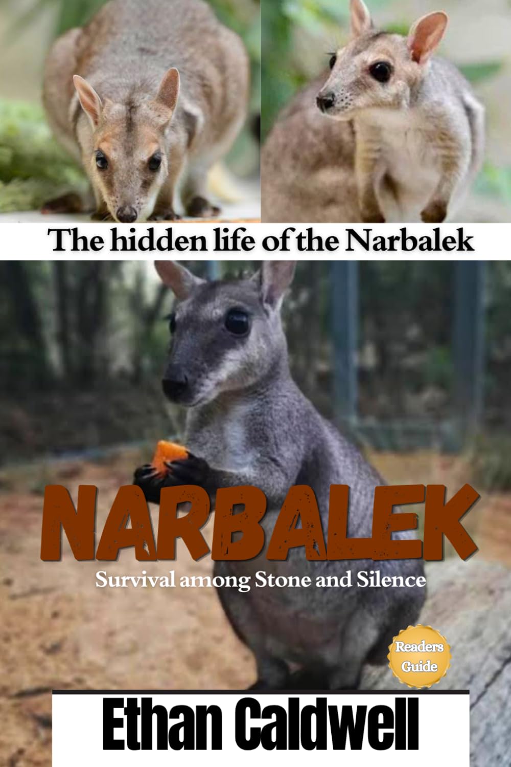 Narbalek: The hidden life of the Narbalek: survival among Stone and Silence