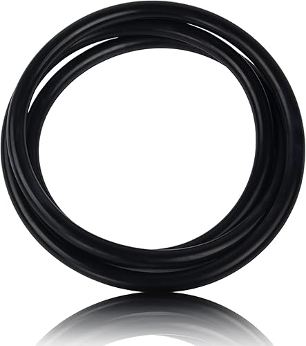 39010200 Filtro de repuesto para junta tórica de abrazadera para tanque y spa D. E. Filtro, se adapta a Pt (CCP 520/420/320) Clean & Clear Plus