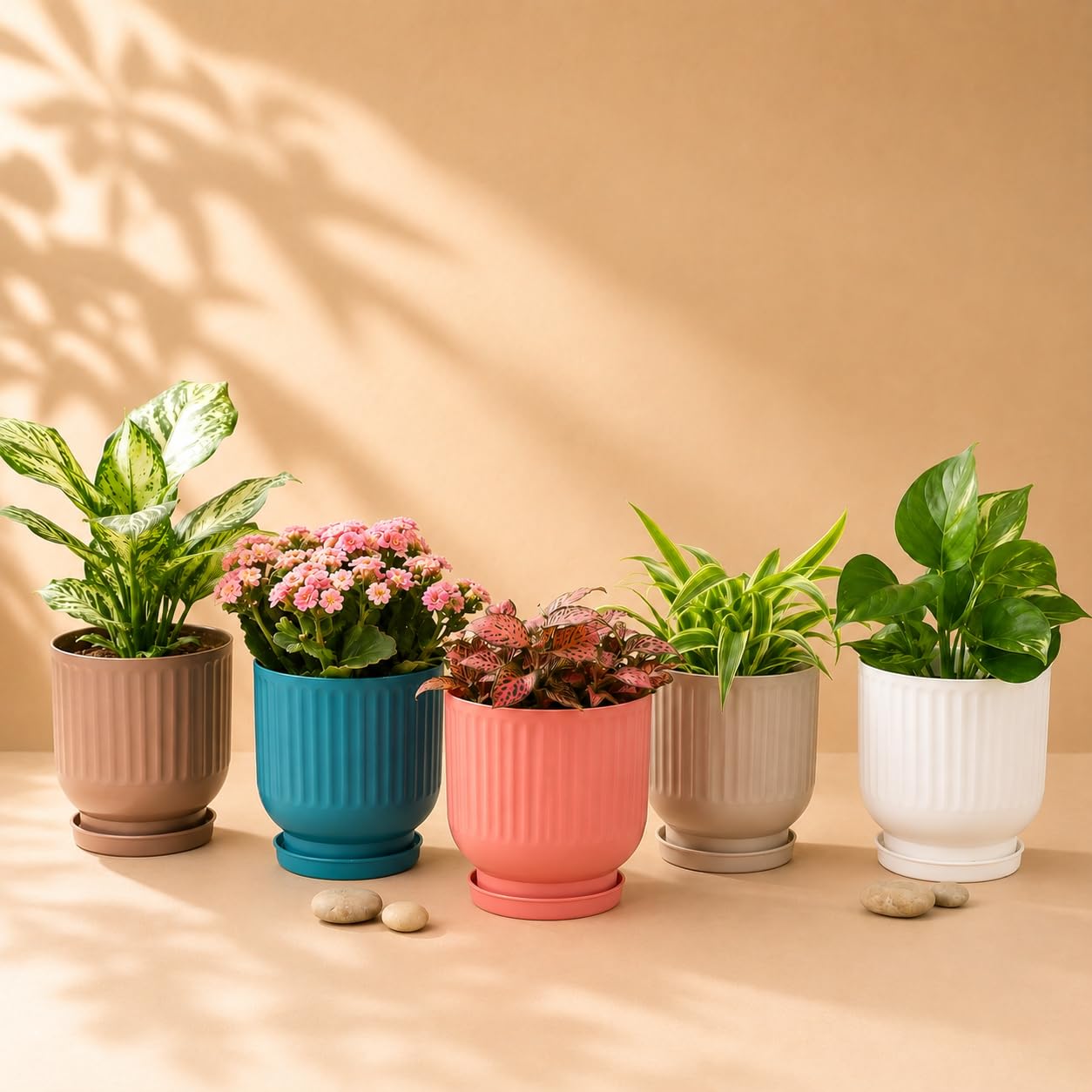Leawall Plastic Flower Pots - Multicolor, FREE SHIPPING -2