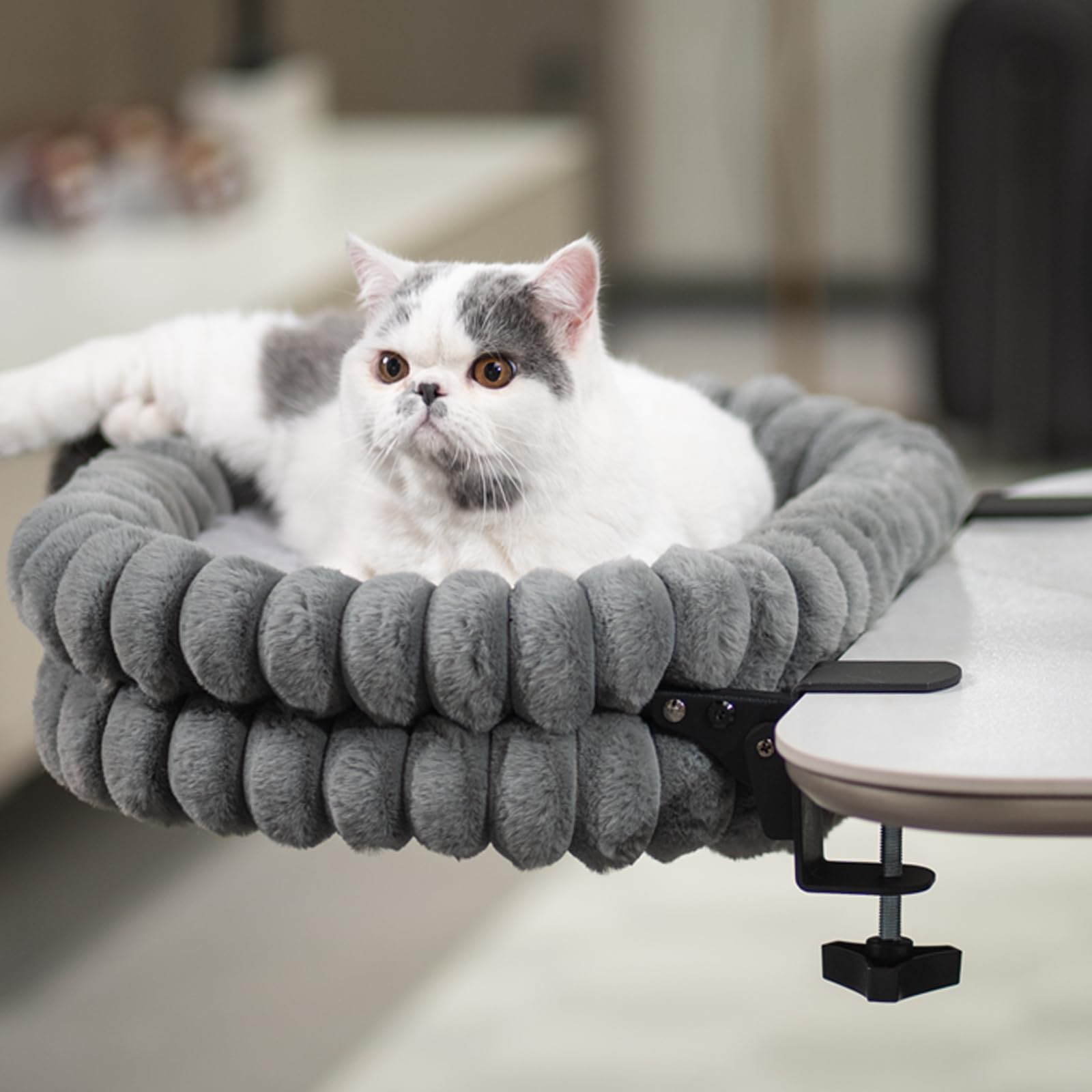 CheerPals Lit pour Chat Bureau Pliable, Hamac Chat Suspendu avec Support en Métal Robuste (2 KG), Panier Réversible Hiver/Été pour Table, 60x38x12 cm