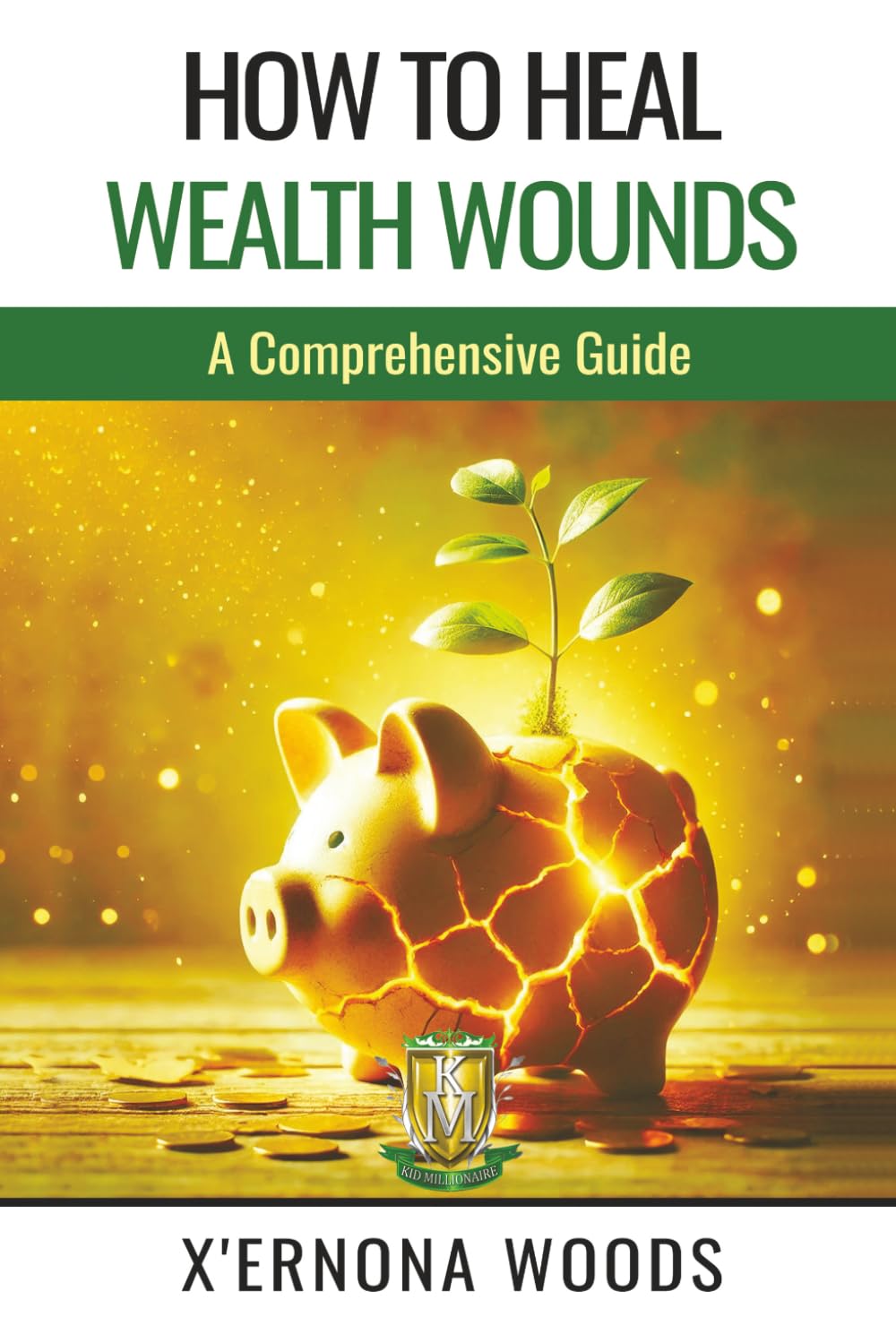 HOW TO HEAL WEALTH WOUNDS: A Comprehensive Guide