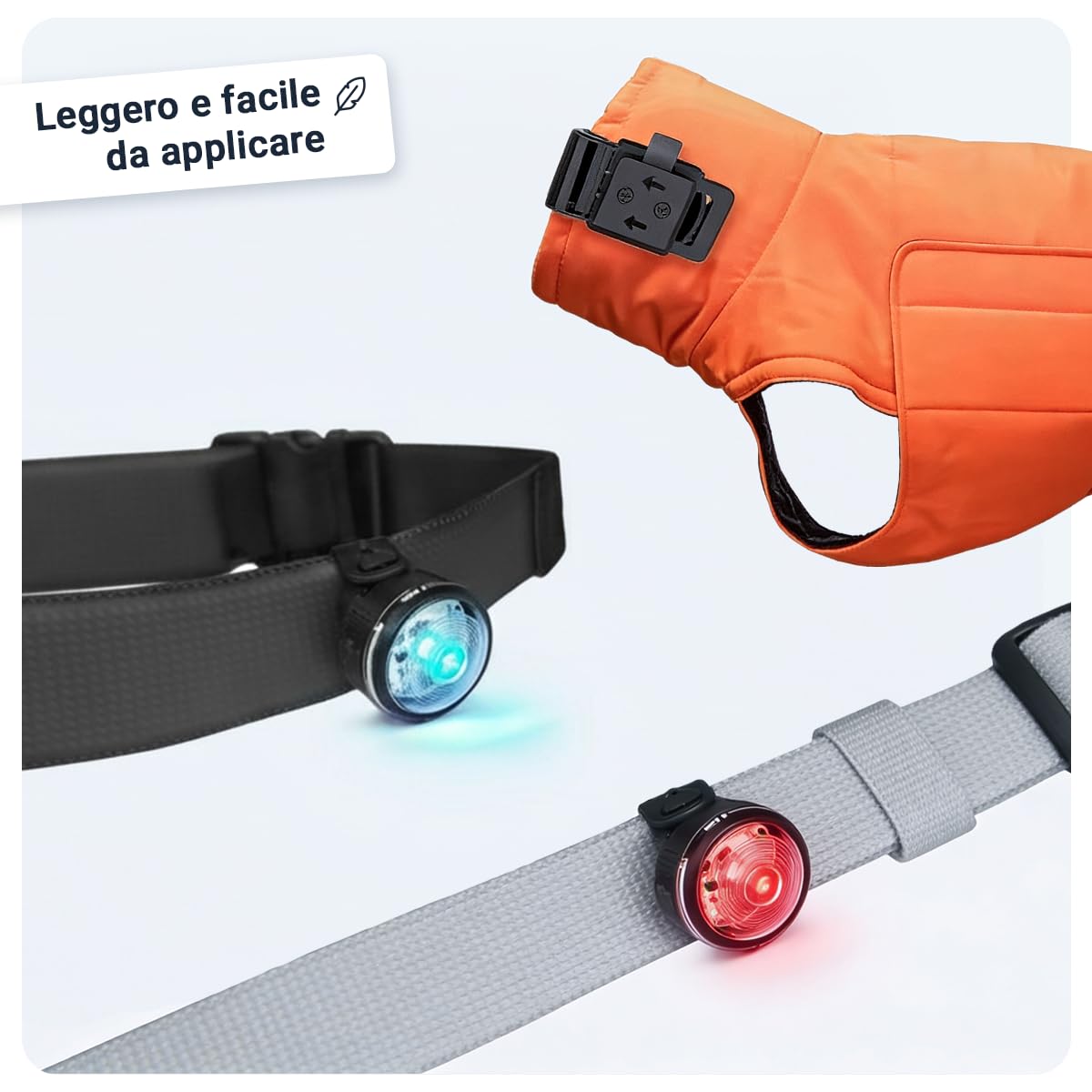 PAJ LIGHT MINI - LED Ultraluminoso per Collari e Pettorine - Cani Piccoli, Medi e Gatti - Regolazione Flessibile - 100% Impermeabile - 7 Colori - Sicurezza e Visibilità Notturna