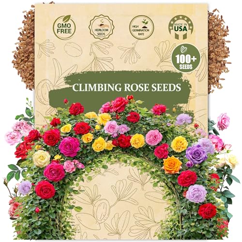 Climbing Rose Seeds, 100+ Heirloom Seeds for Garden Trellis