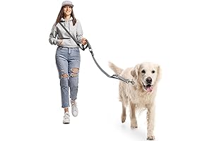 Hands-Free Dog Leash: Ultimate Convenience and Control