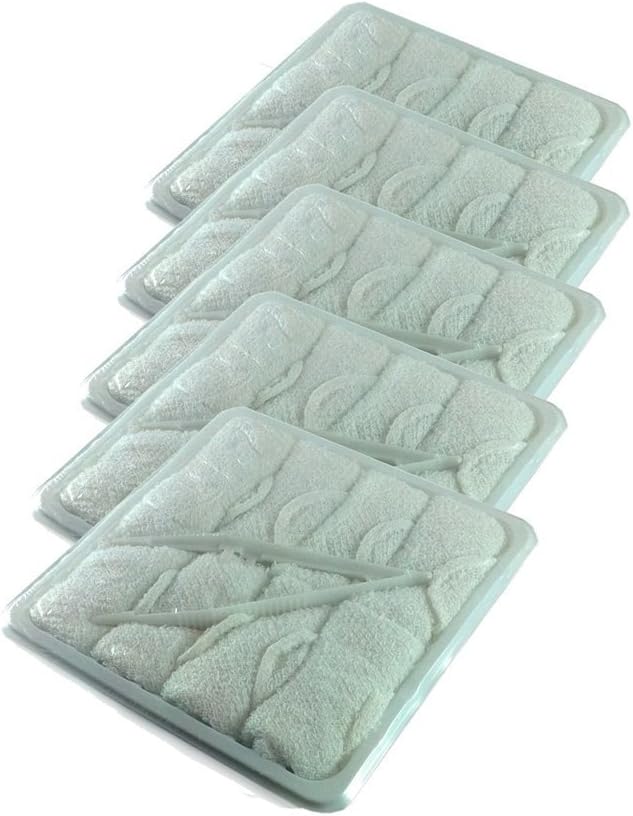 Encore HCT40L Disposable Hot Towels, Lemon Scent, 40-Pack (5 Trays)