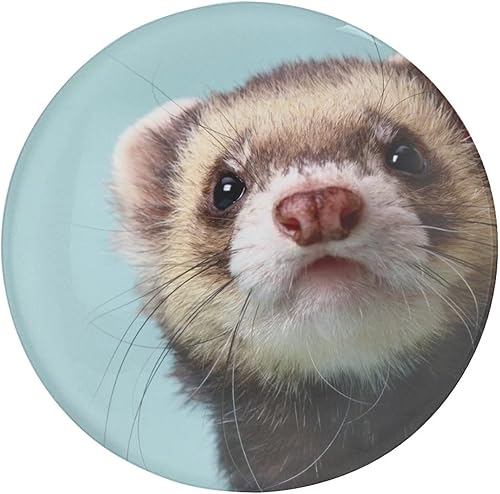 Imán redondo de cristal para nevera, diseño de hurones, para armario, oficina, 2 unidades