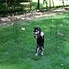 PEEKABOO-Dog-Pen-Pet-Playpen-Dog-Fence-Indoor-Foldable-Metal-Wire-Exercise-Pen-Puppy-Play-Yard-Pet-Enclosure-Outdoor-for-Small-Dogs-Kittens-Rabbits-8-Panels-24 Metal Wire Exercise Pen