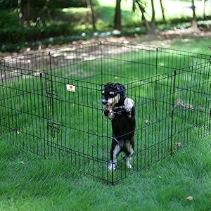 PEEKABOO Dog Pen Pet Playpen Dog Fence Indoor Foldable Metal Wire Exercise Puppy Play Yard Pet Enclosure Outdoor 8 Panels 24 Inch (Only Black playpen) PEEKABOO Dog Pen Pet Playpen Dog Fence Indoor Foldable Metal Wire Exercise Puppy Play Yard Pet Enclosure Outdoor 8 Panels 24 Inch (Only Black playpen)
