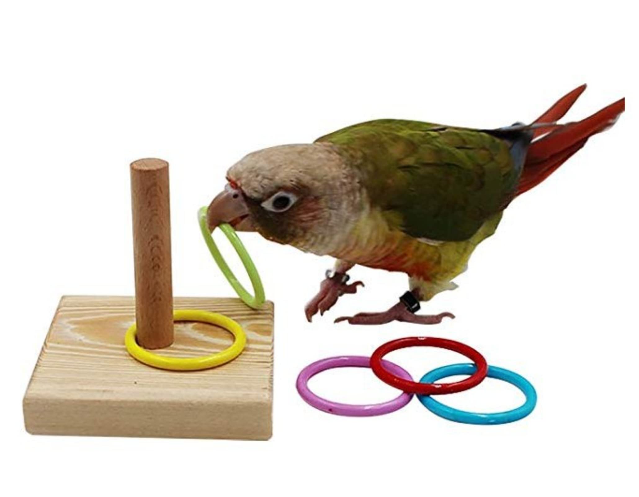 YANQIN Parrot Trick Training Toys, Bird Tabletop Toys, Training Stacking Color Ring Toys Sets for Small and Medium Birds Parrots Budgie Cockatiel