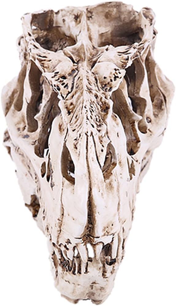 Generic Retro Oystercatcher Resin Skull Head Model Collection home and bar Decor , 9 Amazon.co
