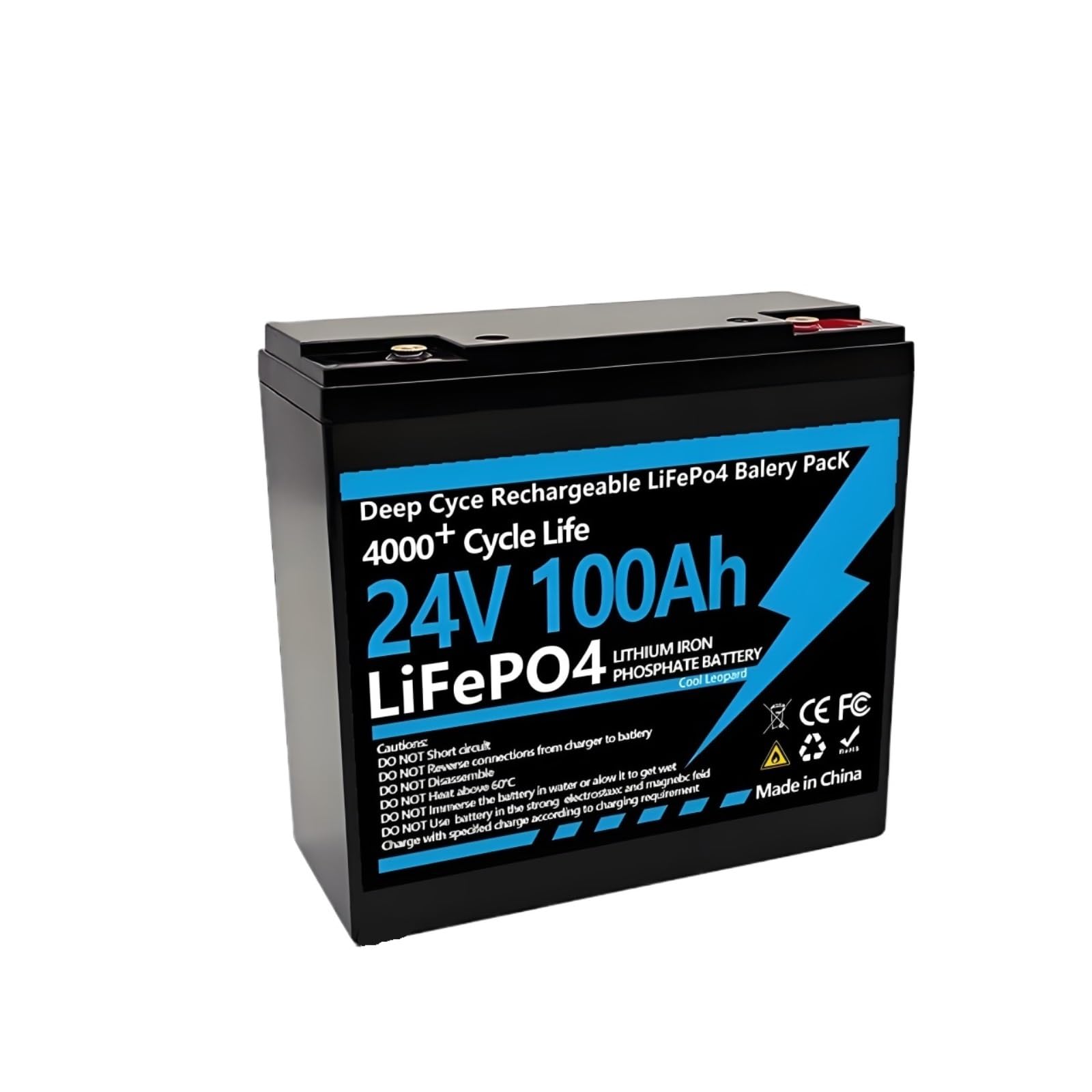 Batteria LiFePO4 24V 100Ah Pacco Litio Per Camper Sistema Solare Campeggio Accumulo Energia Progetti Fai Da Te 6000 Cicli Celle Grade A Con BMS 100A Integrato Scocca ABS 2400Wh