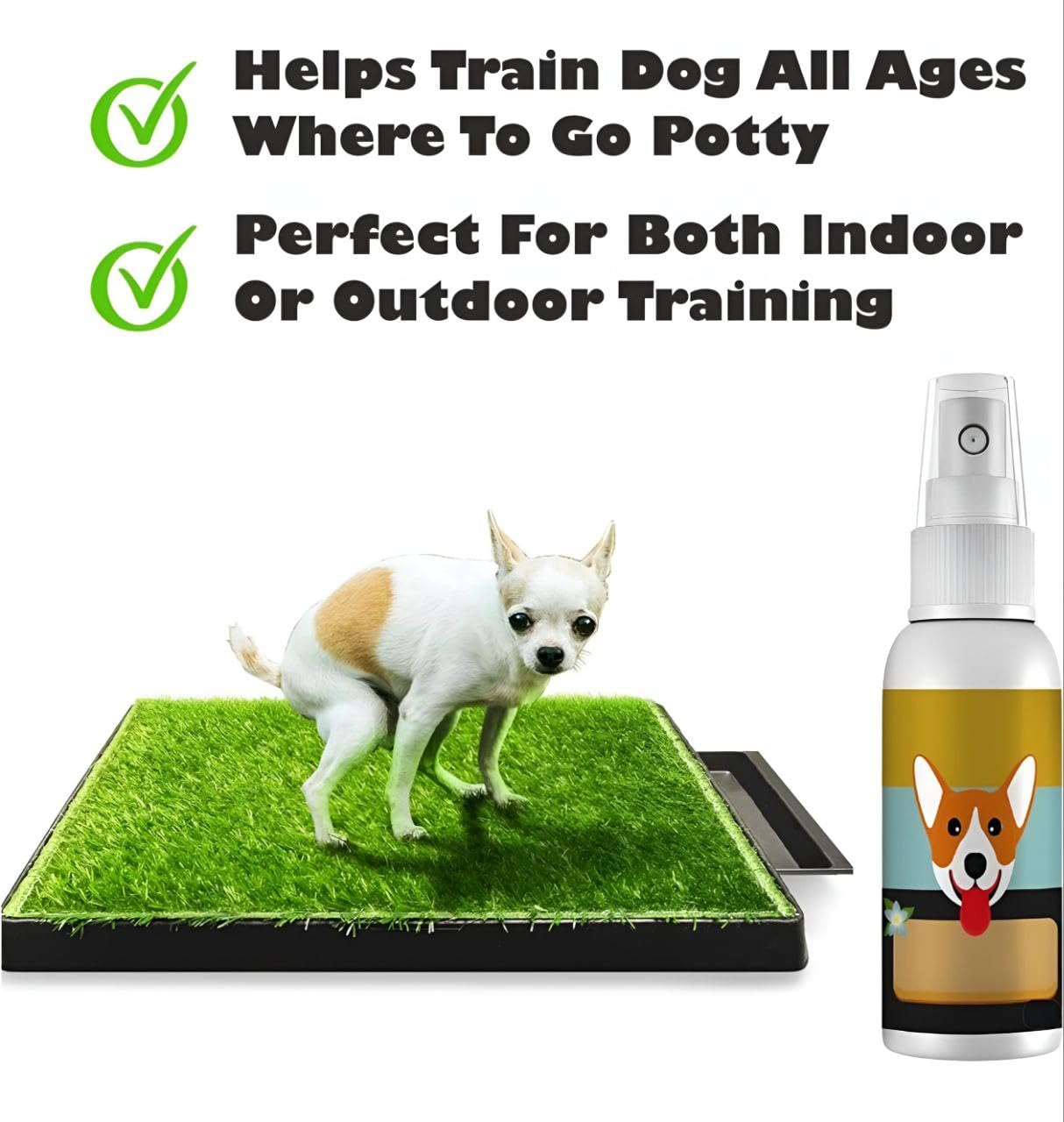 Puppy Dog Potty Training Spray 100ml | Eliminates Marking | Trains Pets Where to Urinate and Poop | Puppy & Cat Toilet Training Spray for Indoor & Outdoor Use (Pack of 4) 1