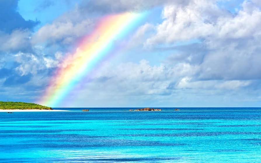 Amazon.co.jp: 絵画風 壁紙ポスター （はがせるシール式） 沖縄